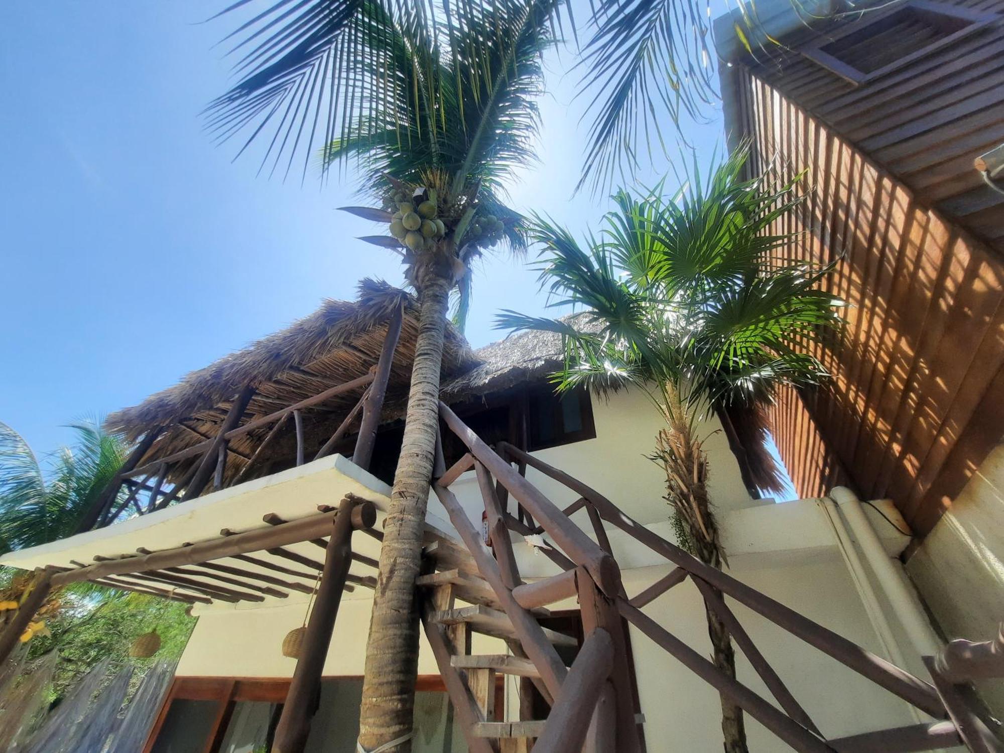 Casa Sofia Holbox Aparthotel Eksteriør bilde
