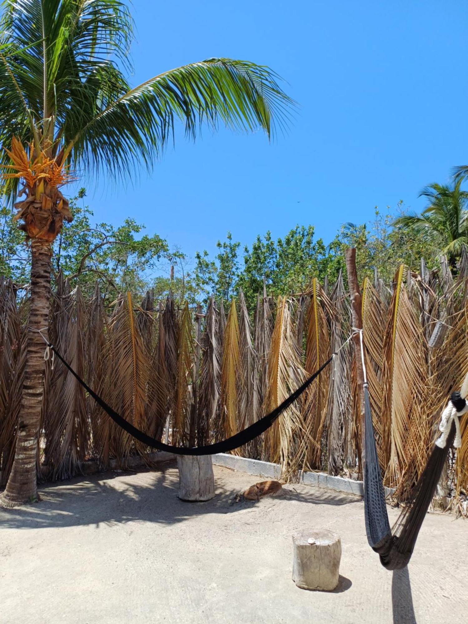 Casa Sofia Holbox Aparthotel Eksteriør bilde